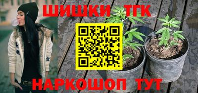 мдпв Обь